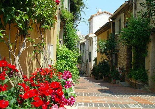 Appartement Vieil Antibes Zewnętrze zdjęcie
